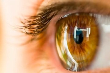eye 1